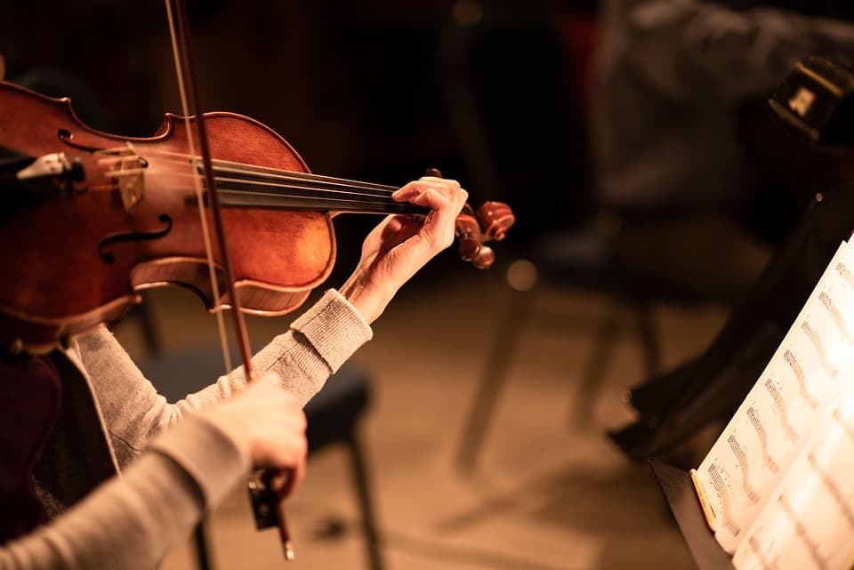 Violino